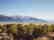 2046: GOV: NV LAND, 40.62 AC. RANCHETTE, B&A $227/mo - 4