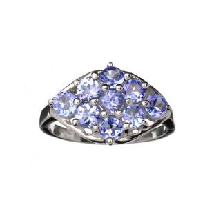 Designer Sebastian 1.80CT Oval Cut Violet Blue: Gov. File: K-11108 Fine Jewelry Designer Sebastian 1.80CT Oval Cut Violet Blue Tanzanite And Platinum Over Sterling Silver Ring Retail Replacement Value:$1.8K Asset Type: Ring Shipping: $19.95