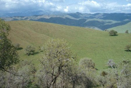 GOV: CA LAND, 5 AC., RECREATION,HUNT, FISH, CAMP-