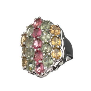 6.36CT Oval Cut Multi-Colored Multi Precious Gemstones: Gov. File: H-15254 Fine Jewelry 6.36CT Oval Cut Multi-Colored Multi Precious Gemstones And Platinum Over Sterling Silver Ring Retail Replacement Value: $2.6K Asset Type: Ring Shipping: $19.95