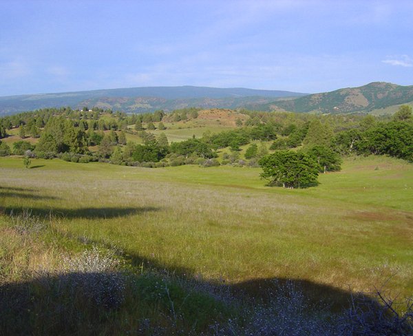 GOV: CA LAND, 3.38 AC, KLAMATH RIVER, STR SALE - 5