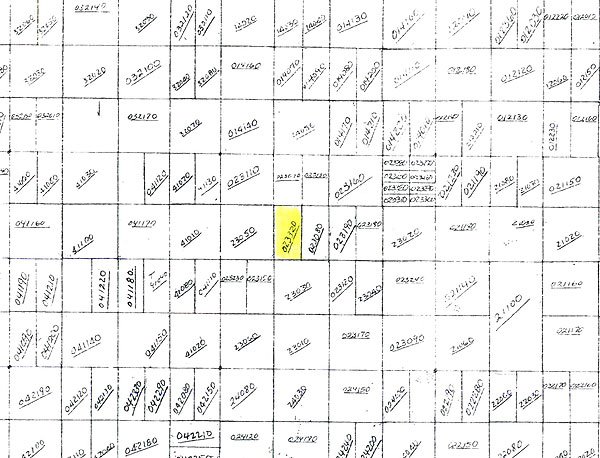 GOV: FL LAND, 1.25 AC, NEAR DISNEY & BCH, STR SALE - 2