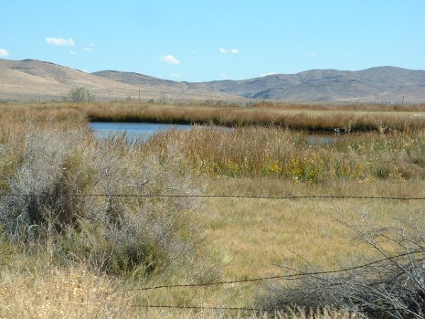 GOV: NV LAND, CITY LOT OFF I-80 VIEWS, STR SALE - 5