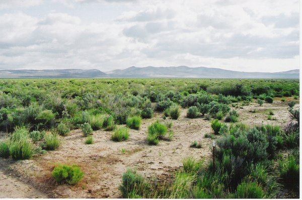 GOV: CA LAND, 160.50 AC. LASSEN COUNTY, STR SALE
