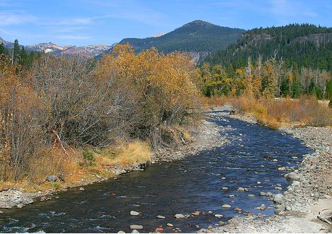 GOV: CA LAND, 160.50 AC. LASSEN COUNTY, STR SALE - 4