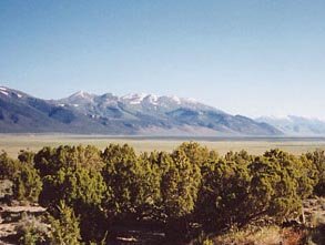 GOV: NV LAND, 40.24 AC. RANCHETTE, B&A $227/mo - 4