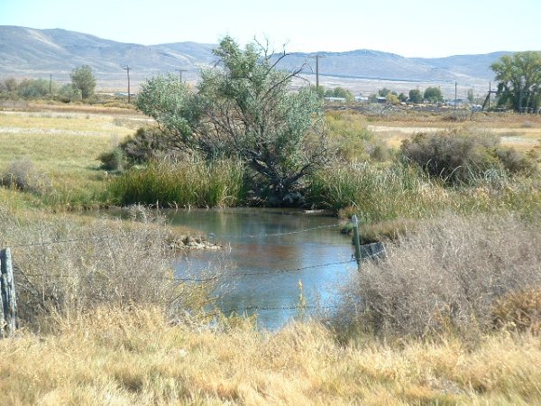 GOV: NV LAND, 40.24 AC. RANCHETTE, B&A $227/mo - 5