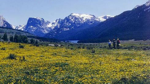 GOV: WY LAND, 40 AC. RANCHETTE, B&A $239/mo - 4