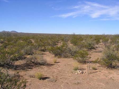 GOV: TX LAND, DELL VALLEY - GREAT DEAL, STR SALE - 4