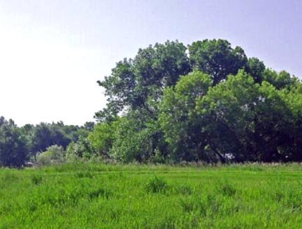 GOV: SD LAND, HUNTING FISHING! SCENIC, STR SALE - 4