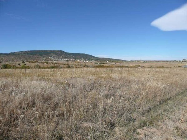 GOV: CO LAND, MOUNTAIN/LAKE AREA - B&A $129/mo - 4
