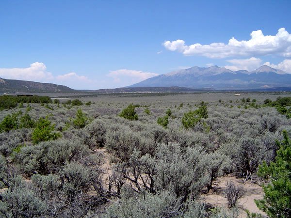 GOV: CO LAND, 5 AC. RANCHETTE, B&A $149/mo - 6