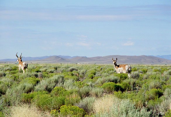 GOV: CO LAND, RANCHETTE, INVEST VIEWS, STR SALE - 3