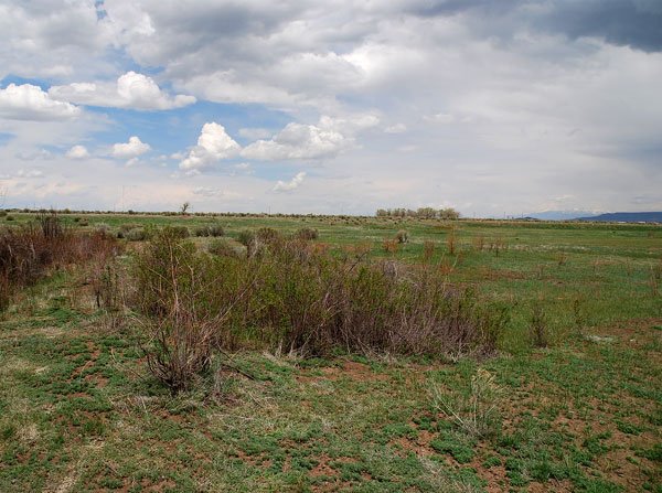 GOV: CO LAND, 5 AC. RANCHETTE, B&A $149/mo