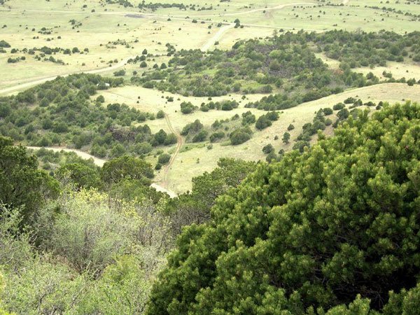 GOV: NM LAND, 10 AC. RANCHETTE, B&A $124/mo - 3