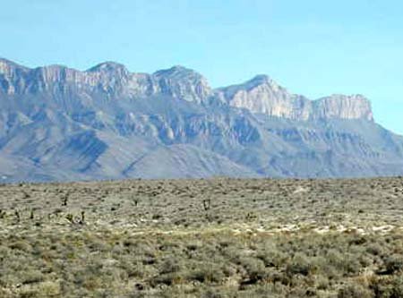 GOV: TX LAND, DELL VALLEY - GREAT DEAL, STR SALE - 4