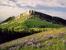 GOV: WY LAND, 40 AC. RANCHETTE, B&A $239/mo