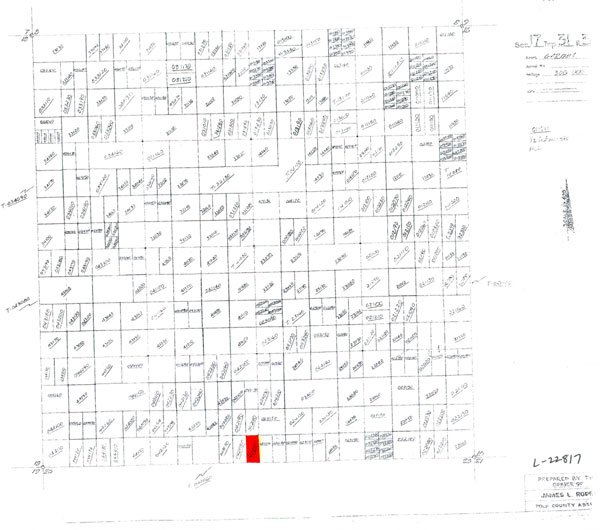 GOV: FL LAND, 1.25 AC. NEAR DISNEY, STR SALE - 2