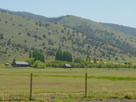 GOV: OR LAND, 5 AC. LAKE COUNTY, B&A $179/mo - 3