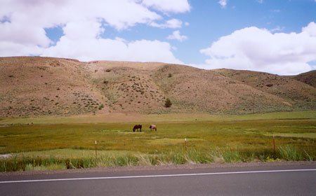GOV: OR LAND, 5 AC. LAKE COUNTY, B&A $179/mo - 5