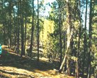 GOV: CA LAND, 1.17 AC. RECREATION, B&A $159/mo - 3