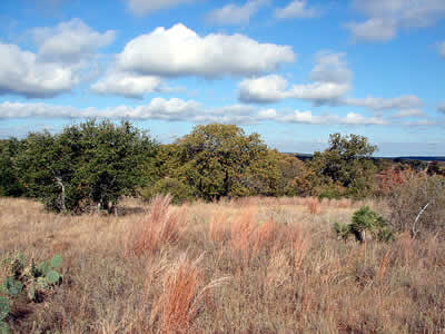 GOV: TX LAND, LA HACIENDA ESTATES, STR SALE - 4