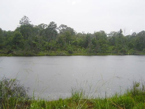 GOV: TX LAND, DEERWOOD LAKES, B&A $139/mo - 3