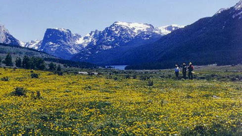 GOV: WY LAND, 40 AC. RANCHETTE, B&A $239/mo - 4