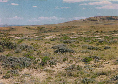 GOV: WY LAND, 40 AC. RANCHETTE, B&A $239/mo - 5
