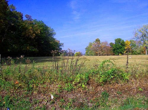 GOV: MO LAND, ST. FRANCOIS COUNTY, STR SALE