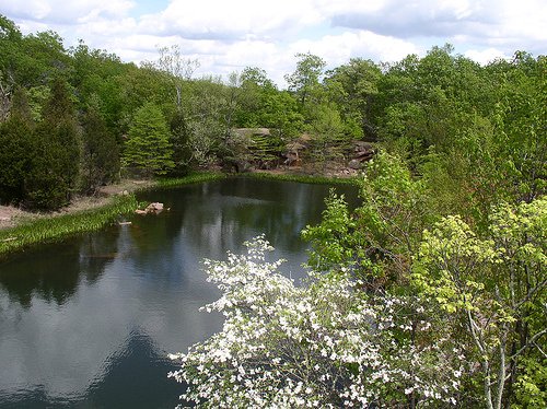 GOV: MO LAND, ST. FRANCOIS COUNTY, STR SALE - 2