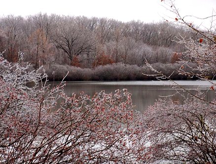 GOV: MO LAND, ST. FRANCOIS COUNTY, STR SALE - 4
