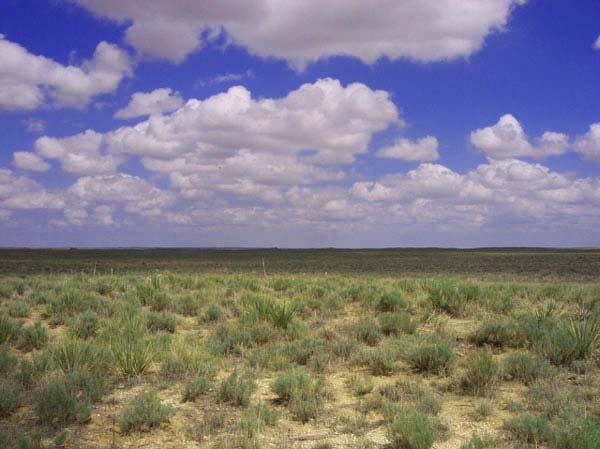 GOV: CO LAND, 35 AC. NEAR RESERVOIR, B&A $271/mo - 4