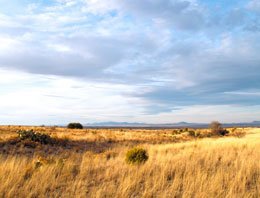 GOV: TX LAND, 640 AC. RANCHETTE, B&A $1497/mo - 2