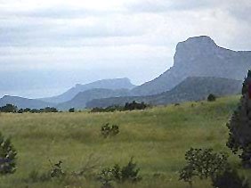 GOV: TX LAND, 640 AC. RANCHETTE, B&A $1497/mo - 3
