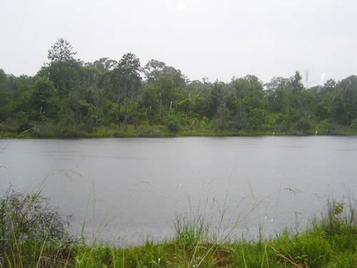 GOV: TX LAND, DEERWOOD LAKES, B&A $139/mo - 3