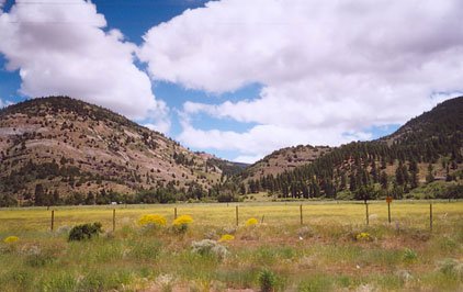 GOV: OR LAND, 2.5 AC. LAKE COUNTY, B&A $199/mo