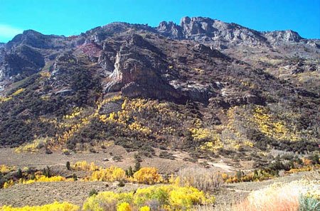 GOV: NV LAND, 40.80 AC. RANCHETTE, B&A $227/mo - 3