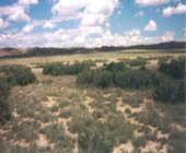 GOV: WY LAND, 40 AC. RANCHETTE, B&A $239/mo - 7