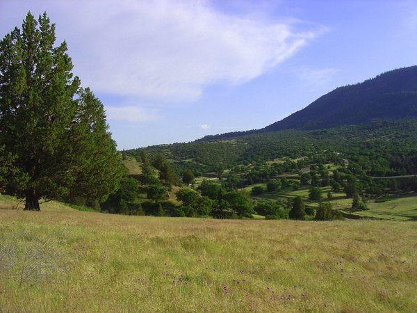 GOV: CA LAND, 1.08 AC. KLAMATH RIVER, STR SALE - 3
