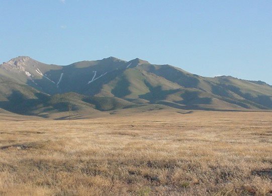 GOV: NV LAND, 40.22 AC.,COUNTRY RANCHETTE, FISH, H
