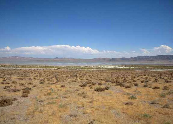 GOV: NV LAND, 40.22 AC.,COUNTRY RANCHETTE, FISH, H - 4