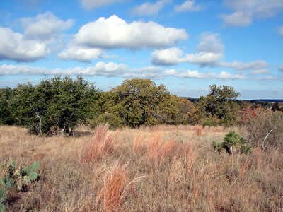 GOV: TX LAND, DELL VALLEY, OFF HWY 62 – SCENIC-CI