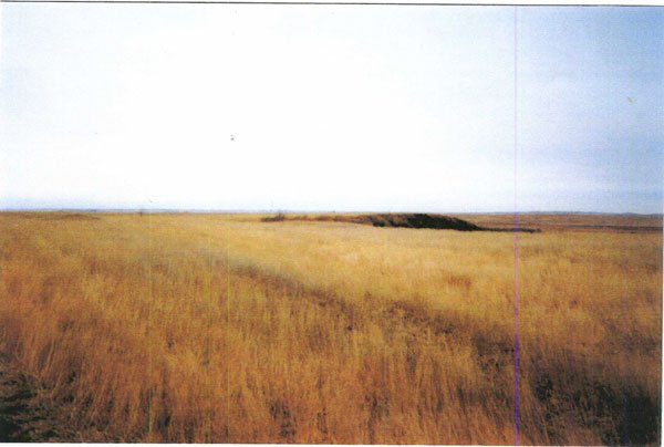 GOV: SD LAND, 31 AC., HUNTING FISHING!, CORSON CO - 3