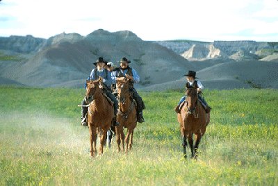 GOV: SD LAND, 31 AC., HUNTING FISHING!, CORSON CO - 4