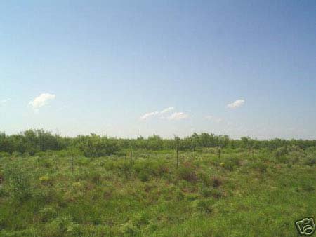 GOV: TX LAND, 10 AC., NEAR RIVER-WARD CNTY-STR SA - 2