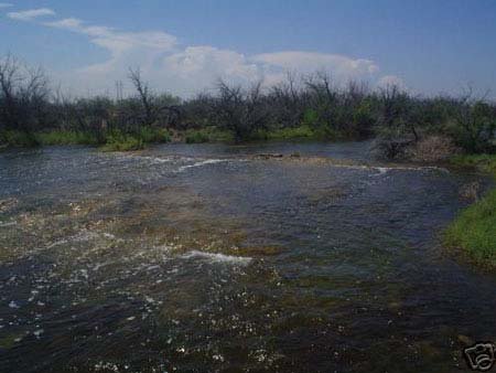 GOV: TX LAND, 10 AC., NEAR RIVER-WARD CNTY-STR SA - 6