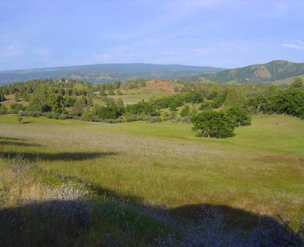 GOV: CA LAND, 2.65 AC. KLAMATH RIVER, STR SALE - 5