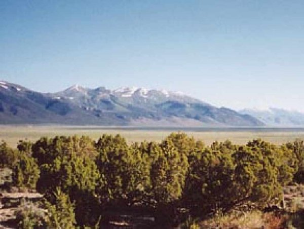 GOV: NV LAND, 640.00, RANCHETTE VIEWS, B&A $1471/ - 3