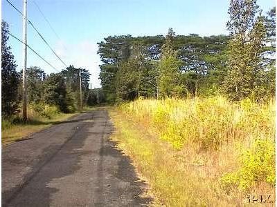 GOV: HI LAND, 8,040 SQ.FT., ISLAND PARADISE, B&A - 4